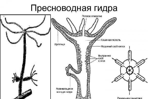 Кракен 12 сайт